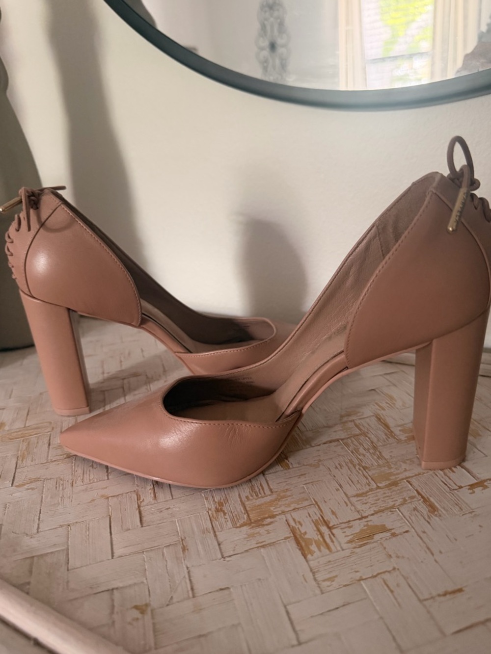 Pointed-Toe Block Heel Pumps in Blush